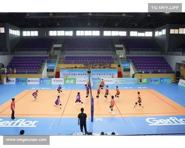 北京推动排球进校园计划2025年新增50所排球特色中小学助力青少年体育发展